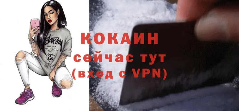 Cocaine FishScale  что такое наркотик  Светлоград 