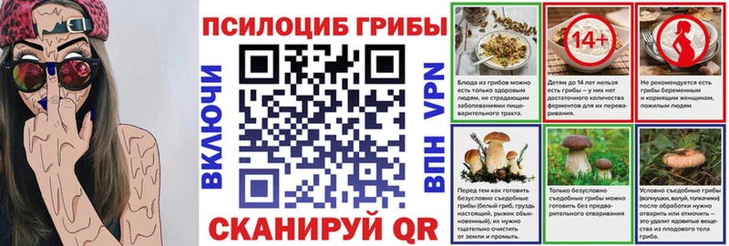 купить наркотики сайты  Светлоград  omg ссылки  Галлюциногенные грибы Cubensis 