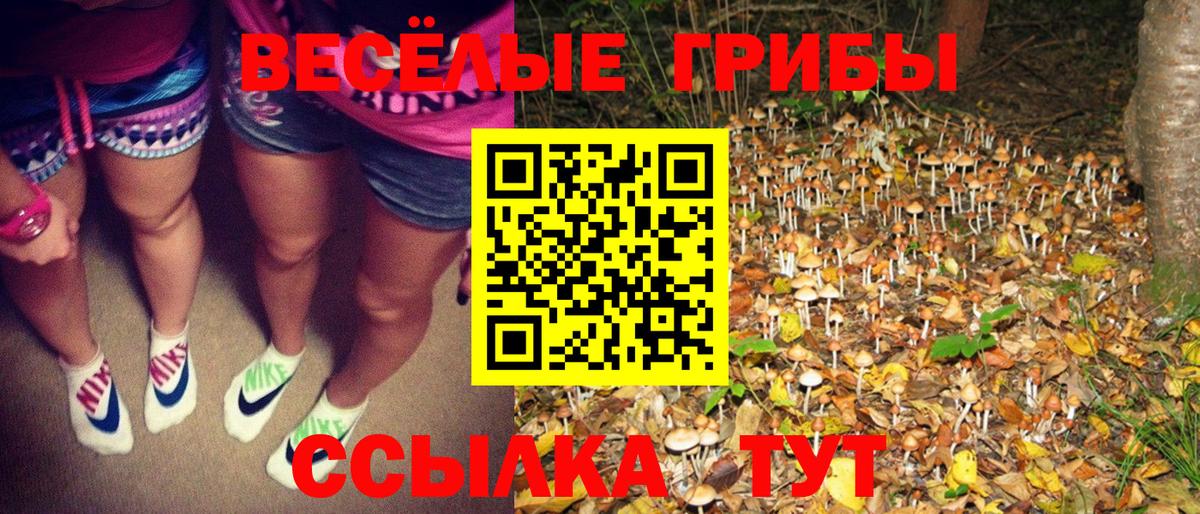 Галлюциногенные грибы Cubensis Светлоград