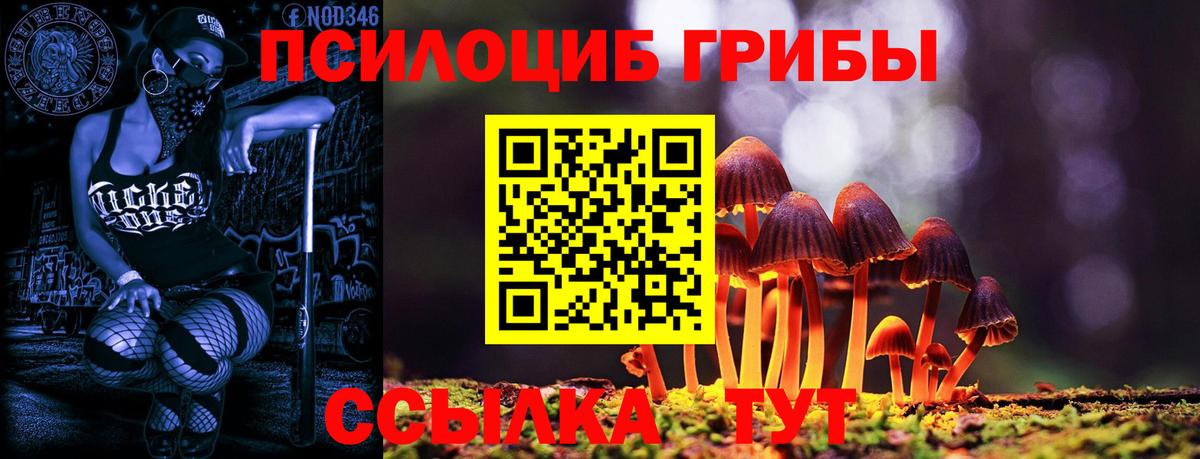 Светлоград  купить  сайты  Галлюциногенные грибы ЛСД  Вход с VPN  Галлюциногенные грибы мухоморы 